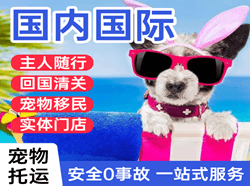 嘎洒机场快递国际宠物托运 【国